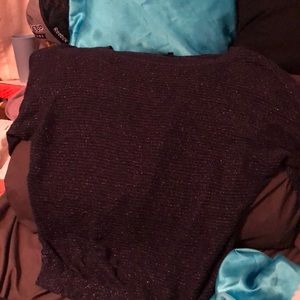 Express Short-Sleeve Shimmery See Through Top